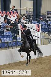 13r14_5731 thumbnail