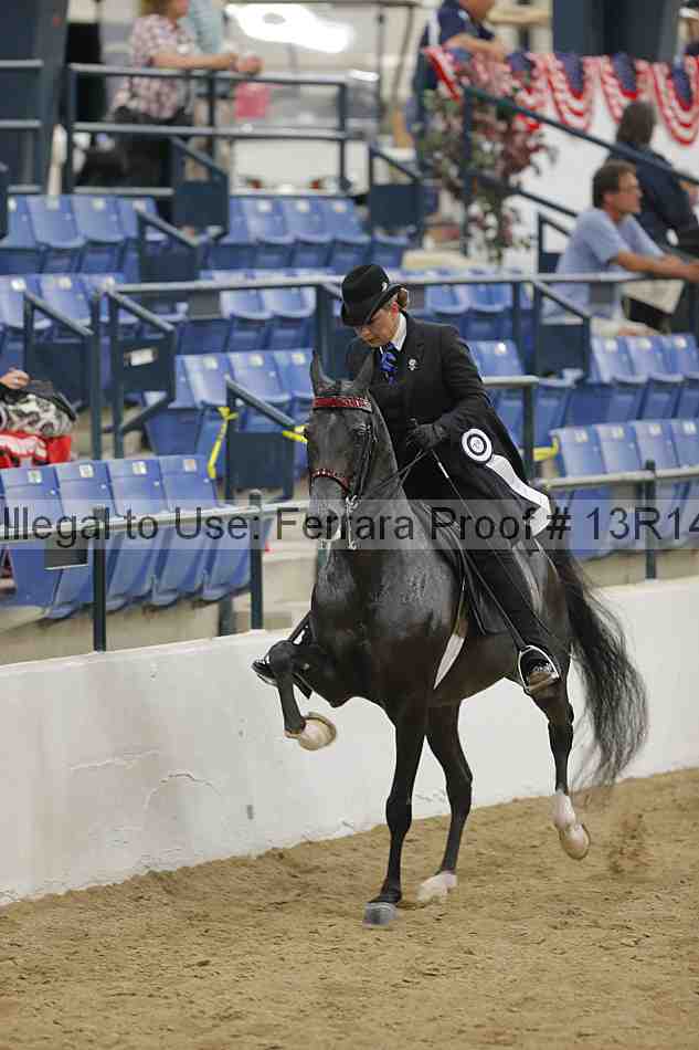 Proof Number 13r14_5732