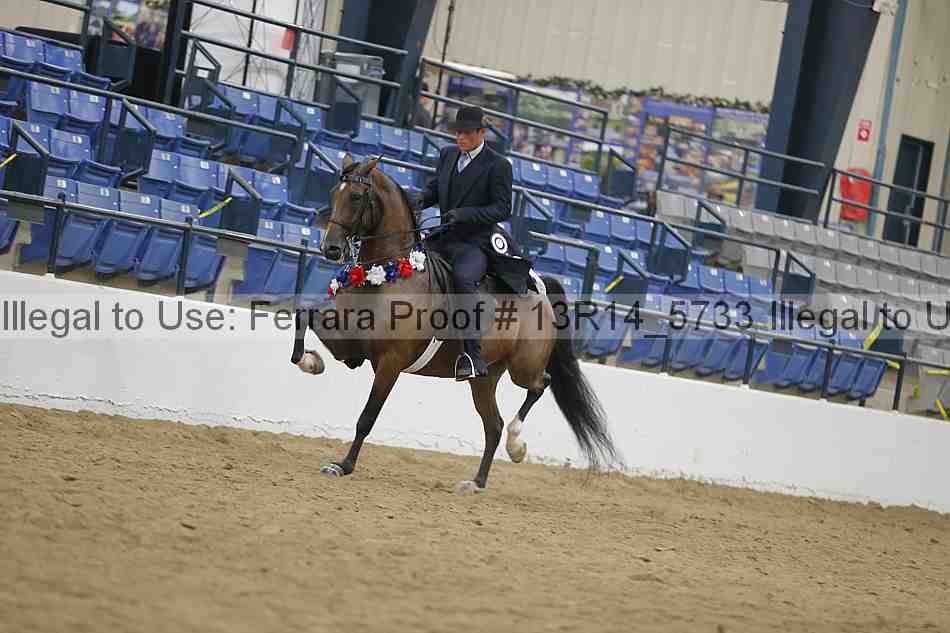 Proof Number 13r14_5733