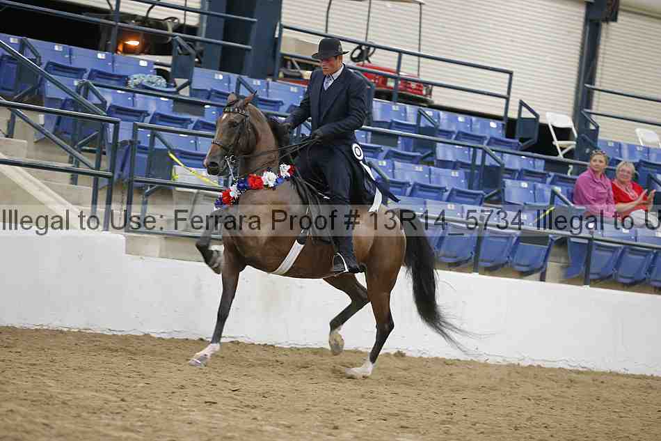 Proof Number 13r14_5734