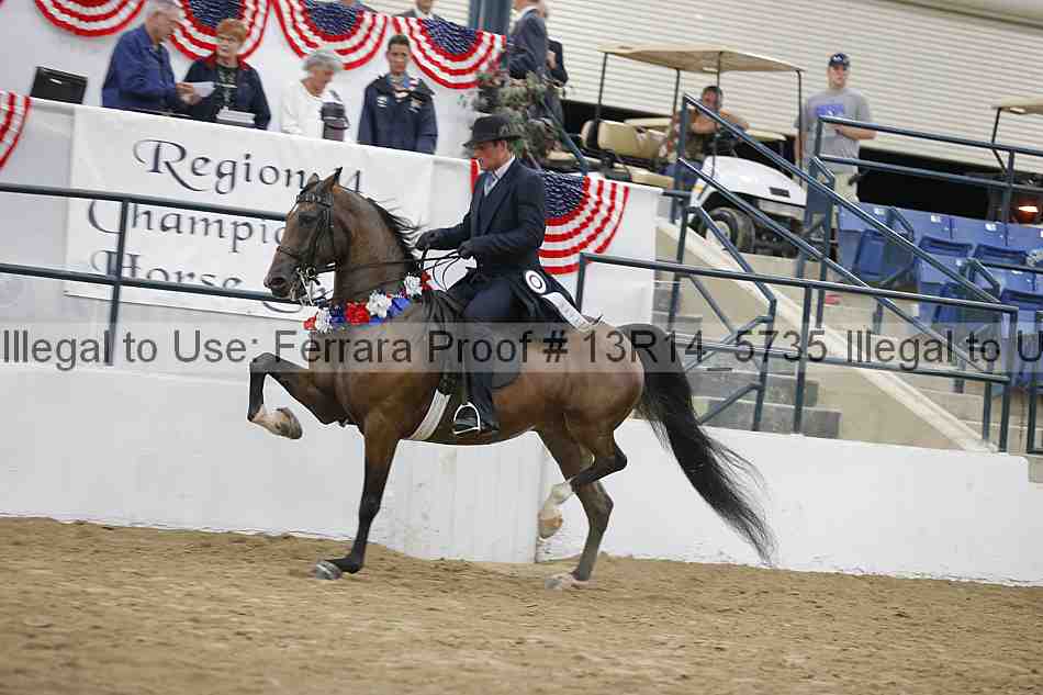 Proof Number 13r14_5735