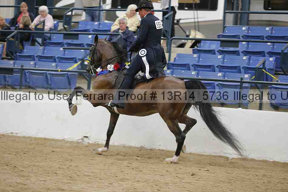 Proof Number 13r14_5736