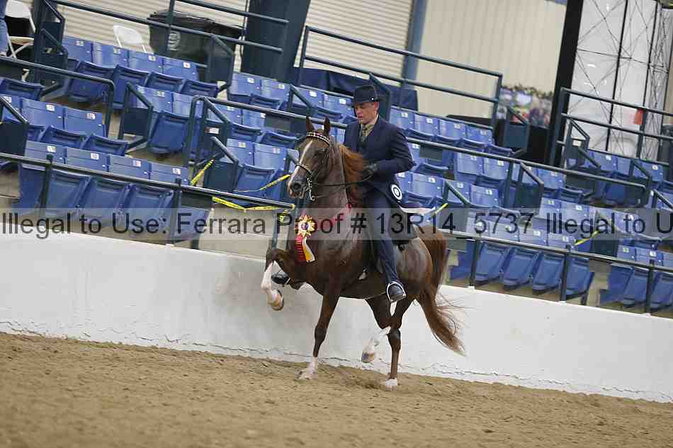 Proof Number 13r14_5737