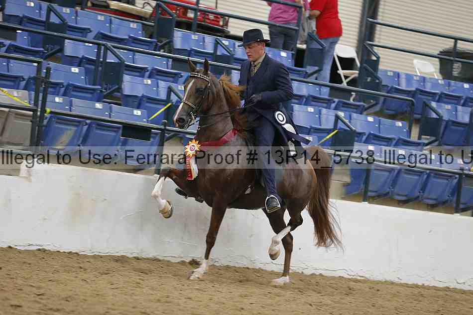 Proof Number 13r14_5738