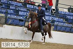 13r14_5738 thumbnail
