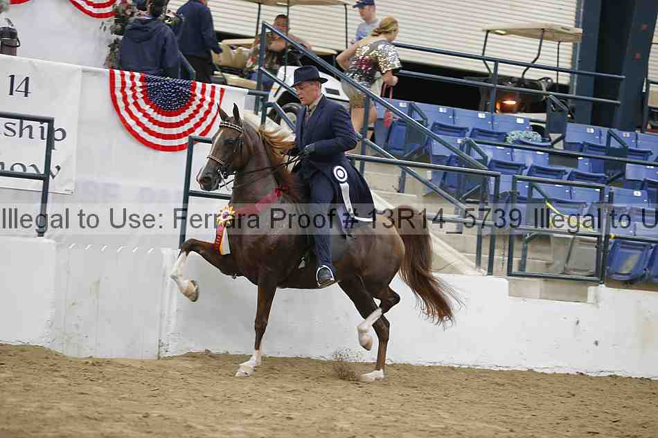 Proof Number 13r14_5739
