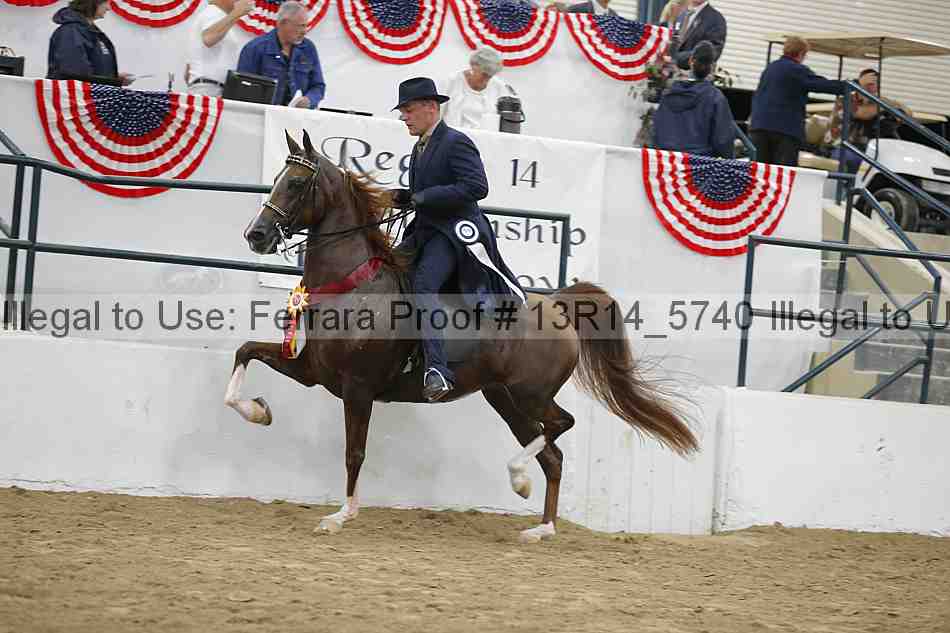 Proof Number 13r14_5740
