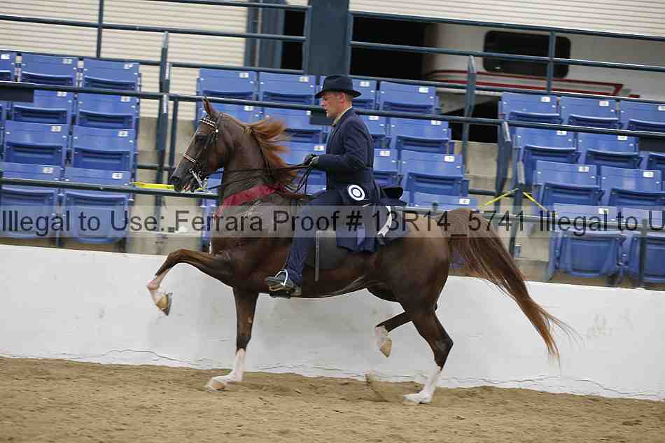 Proof Number 13r14_5741