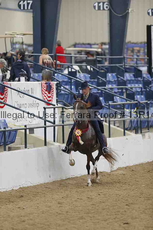 Proof Number 13r14_5742
