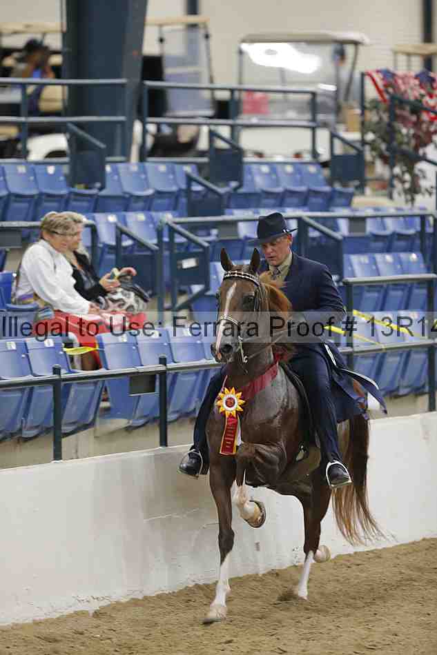 Proof Number 13r14_5744