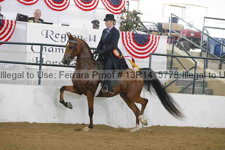 Proof Number 13r14_5778
