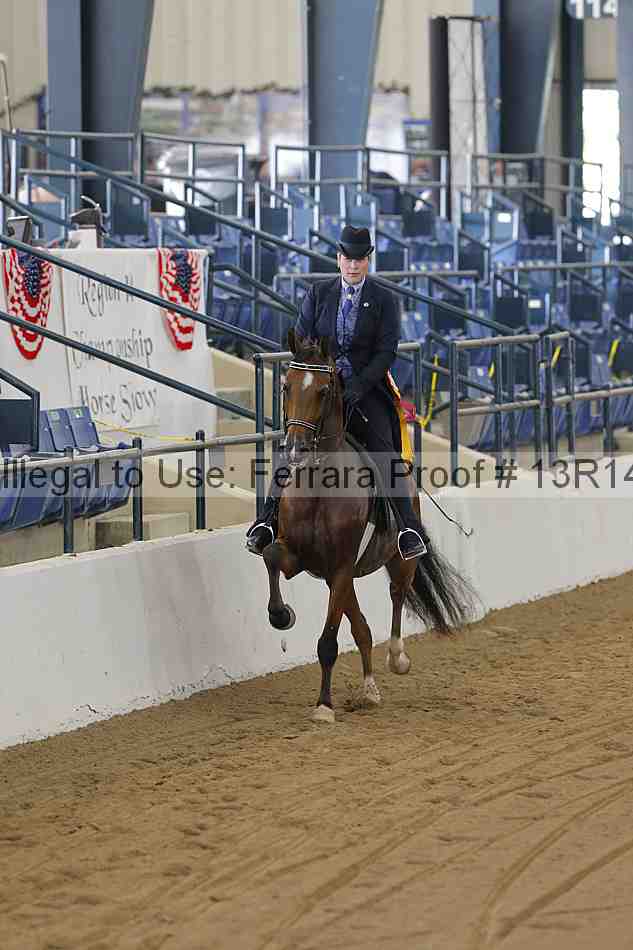 Proof Number 13r14_5779