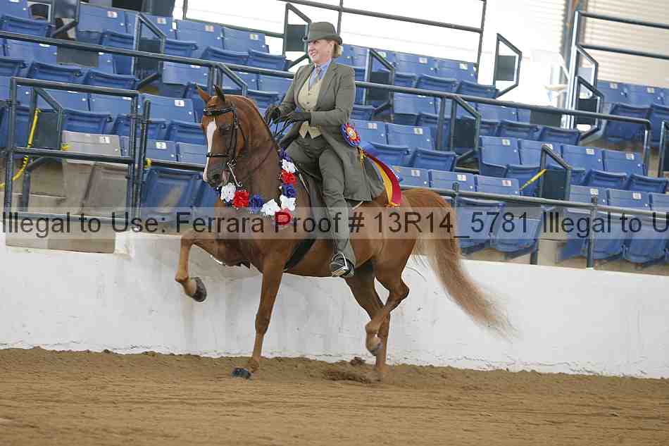Proof Number 13r14_5781
