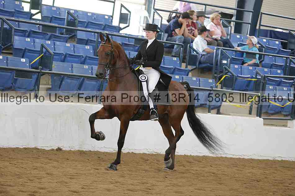Proof Number 13r14_5805