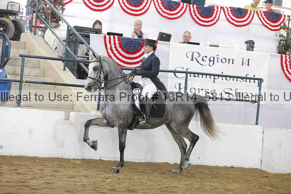 Proof Number 13r14_5813