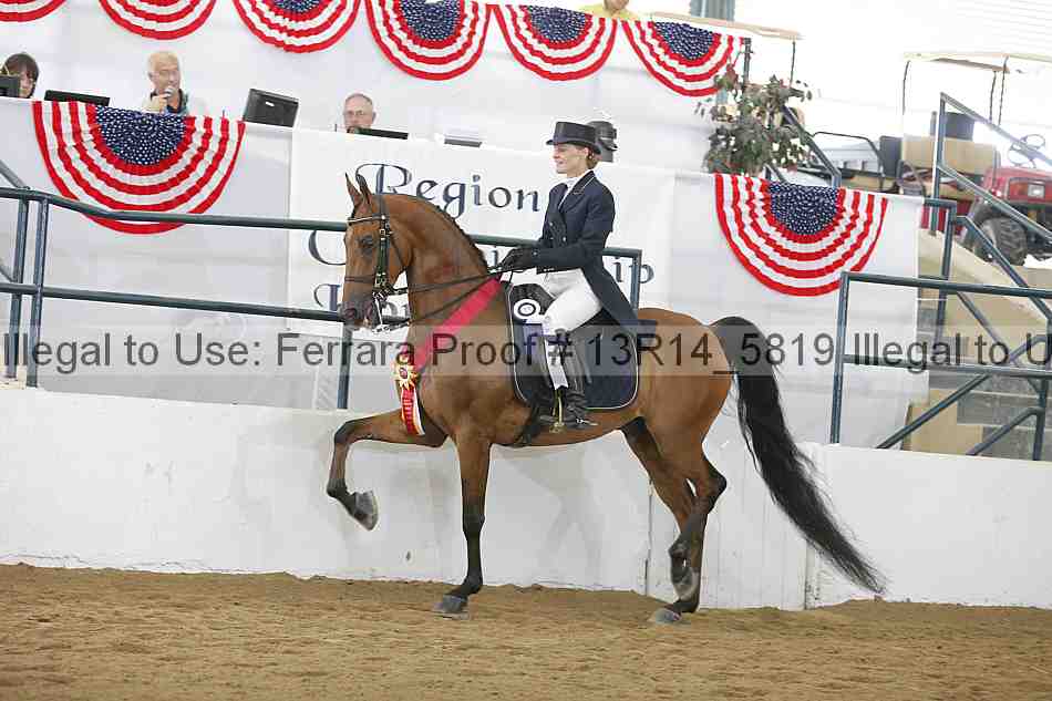 Proof Number 13r14_5819