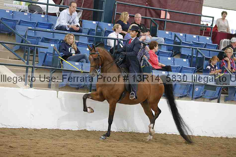 Proof Number 13r14_5830