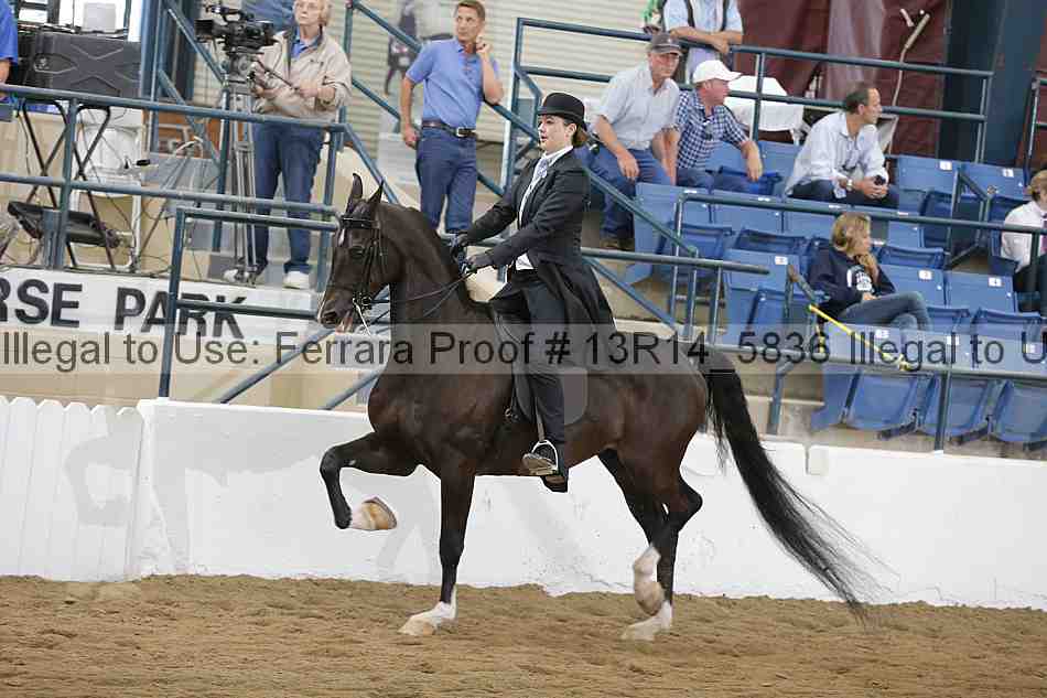 Proof Number 13r14_5836