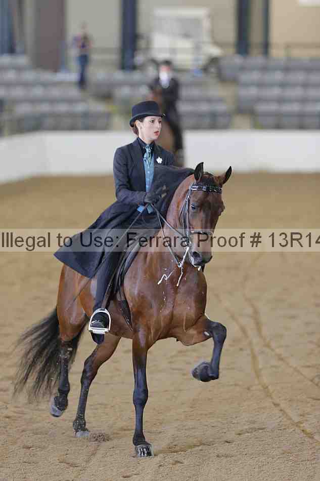 Proof Number 13r14_5839