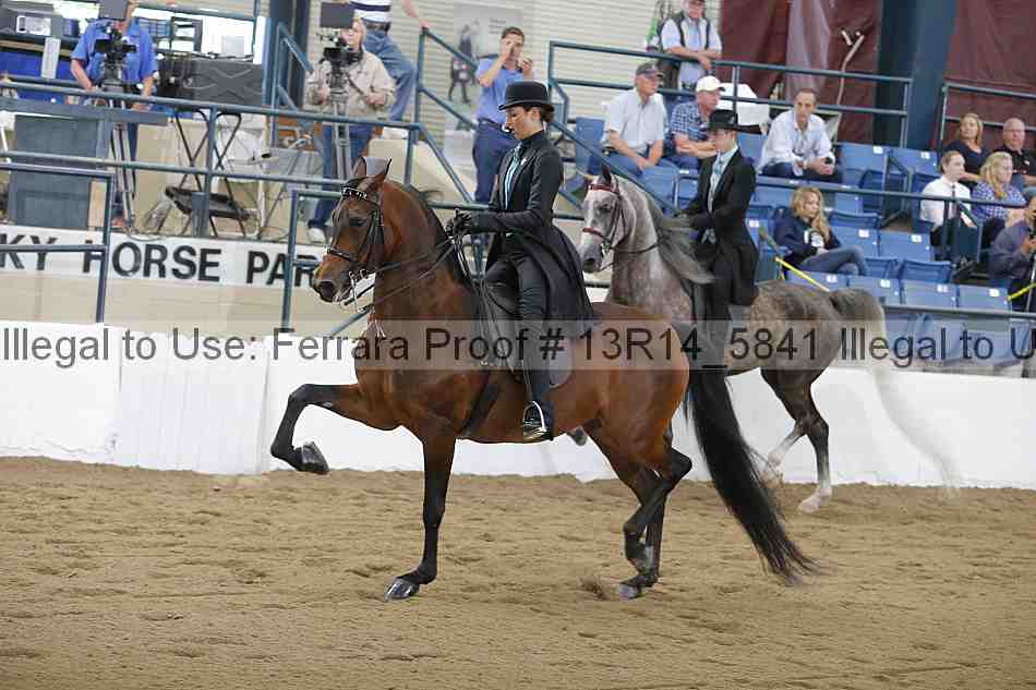 Proof Number 13r14_5841