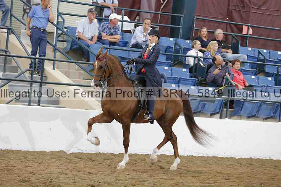 Proof Number 13r14_5849
