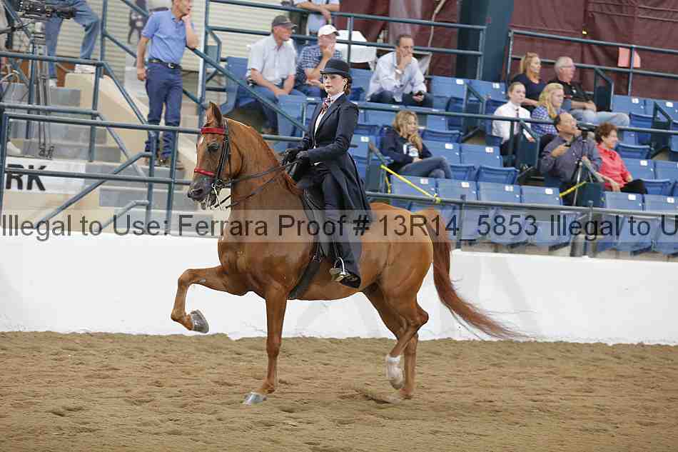 Proof Number 13r14_5853
