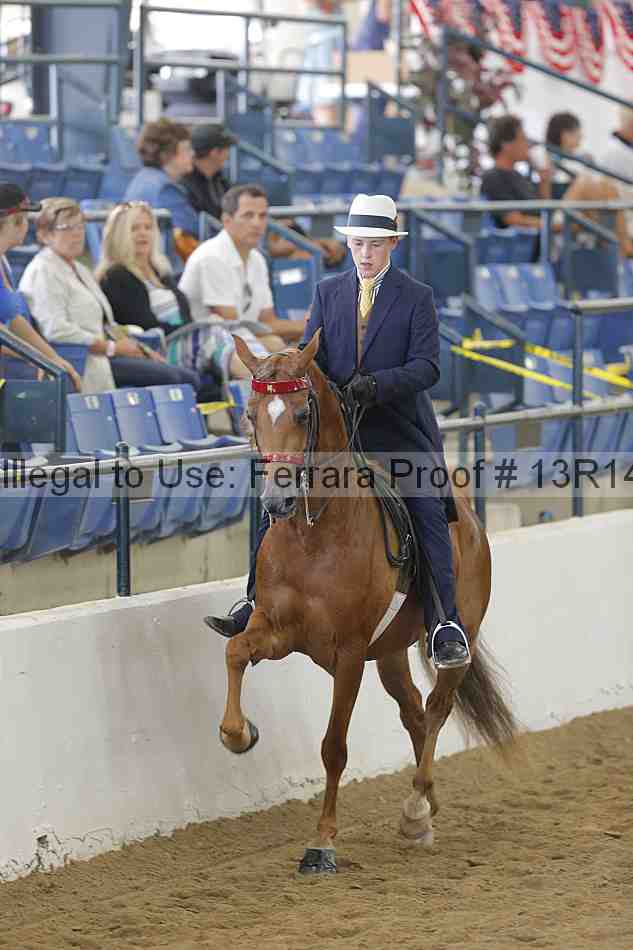 Proof Number 13r14_5854