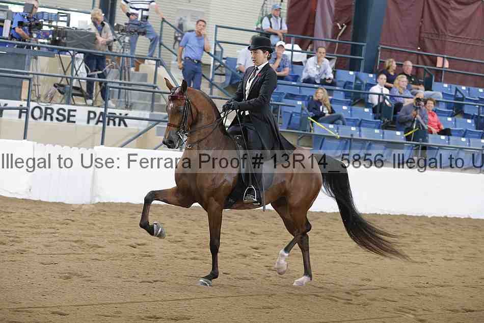 Proof Number 13r14_5856