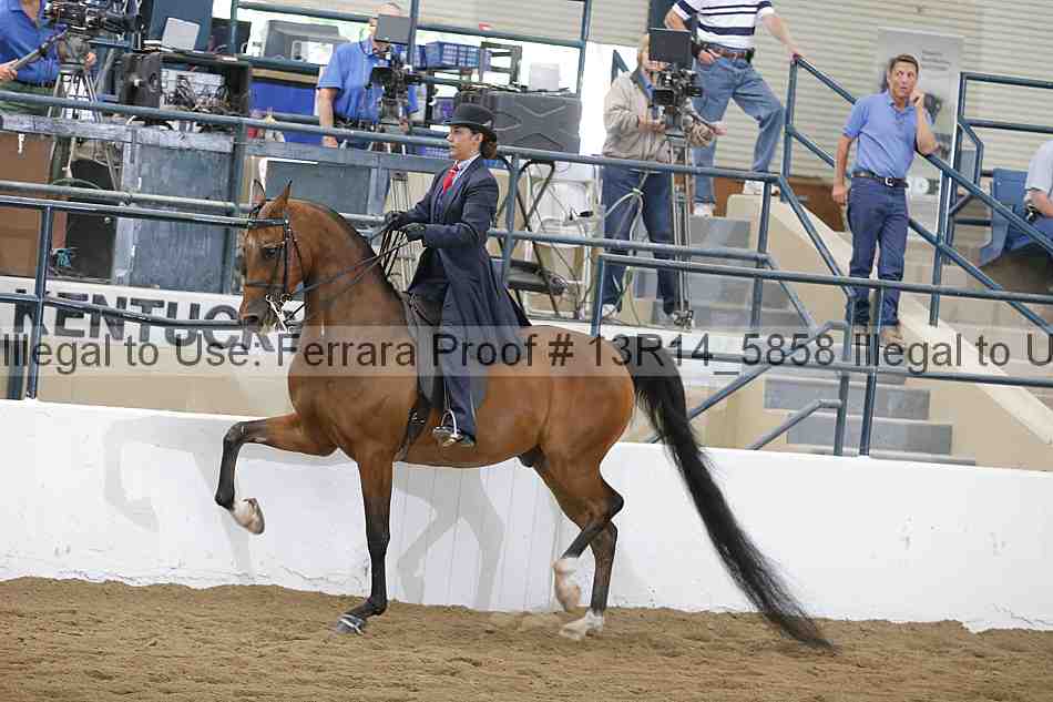 Proof Number 13r14_5858