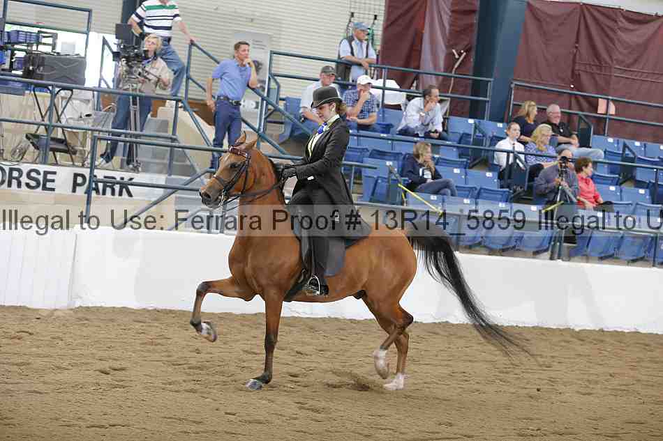 Proof Number 13r14_5859
