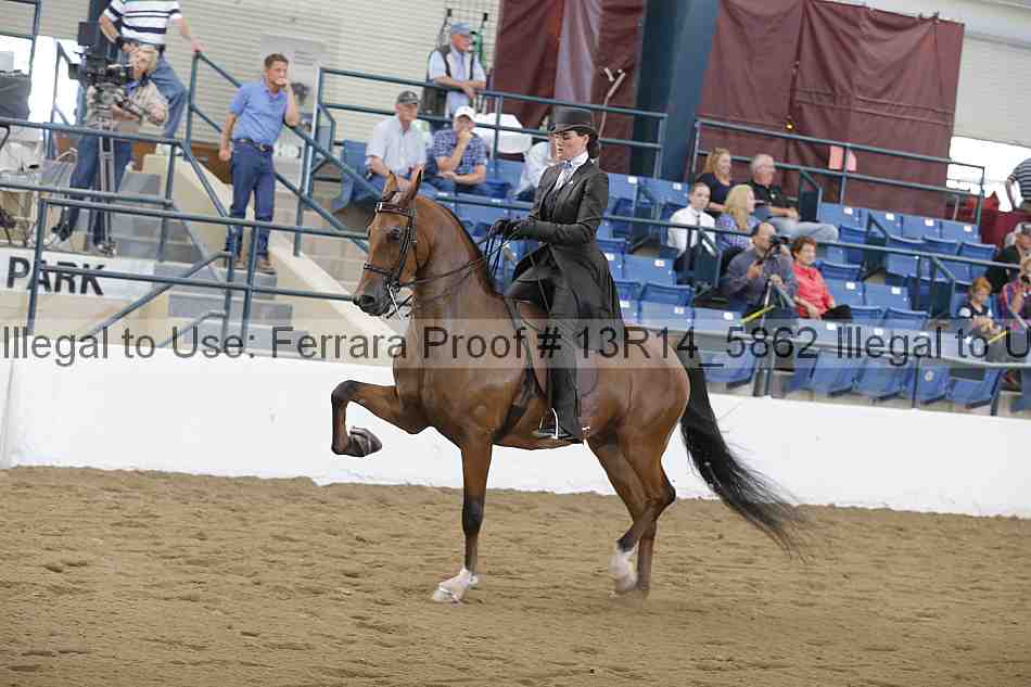Proof Number 13r14_5862