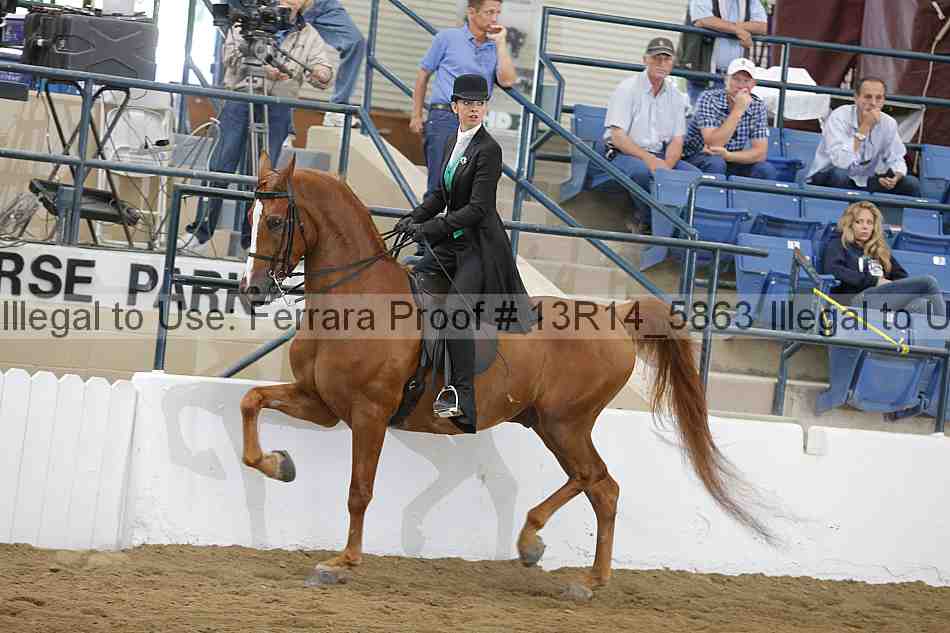 Proof Number 13r14_5863