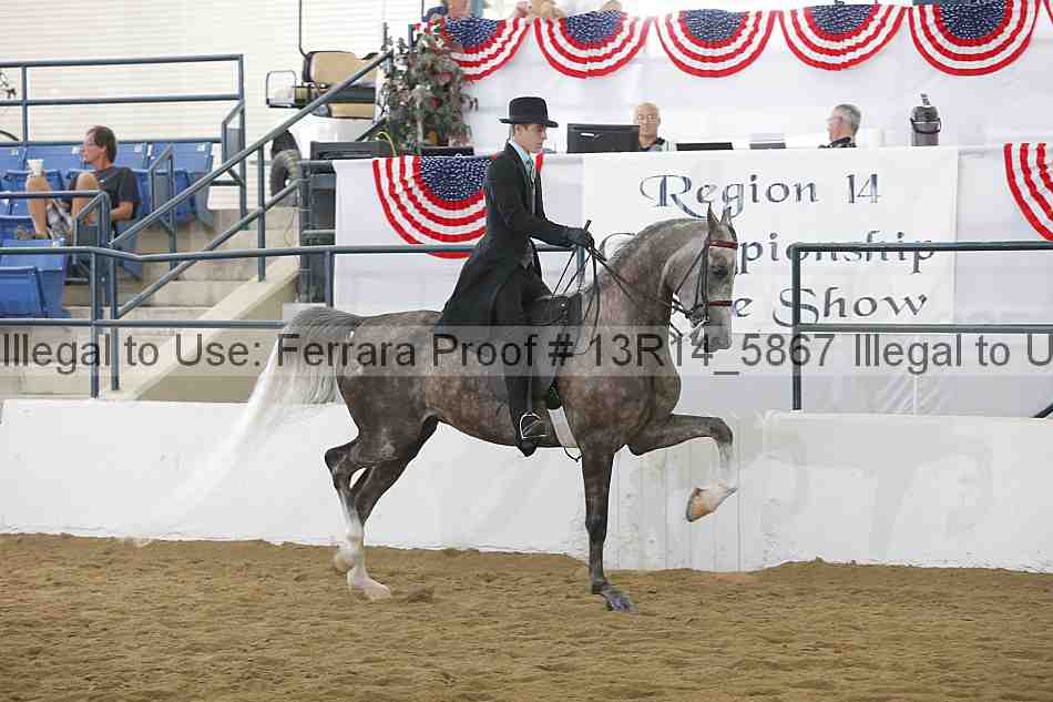 Proof Number 13r14_5867