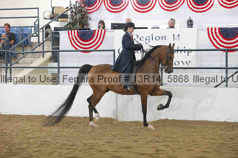 Proof Number 13r14_5868