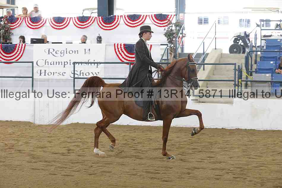 Proof Number 13r14_5871