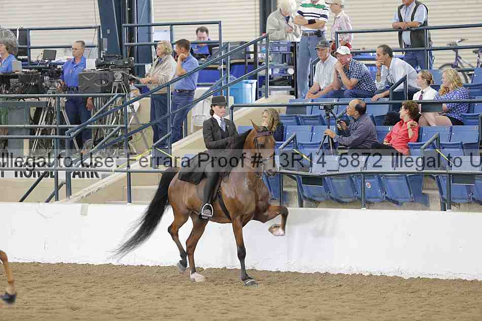 Proof Number 13r14_5872