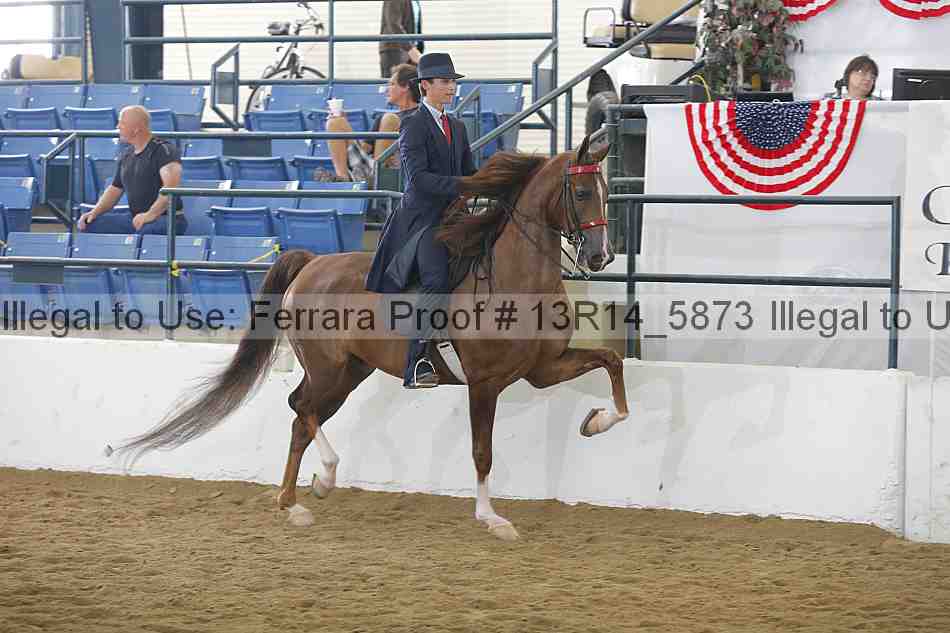 Proof Number 13r14_5873