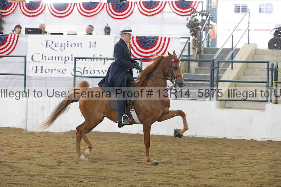Proof Number 13r14_5875