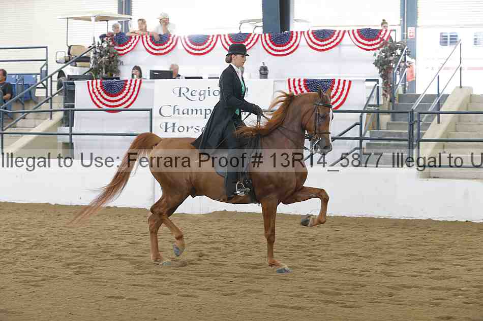 Proof Number 13r14_5877
