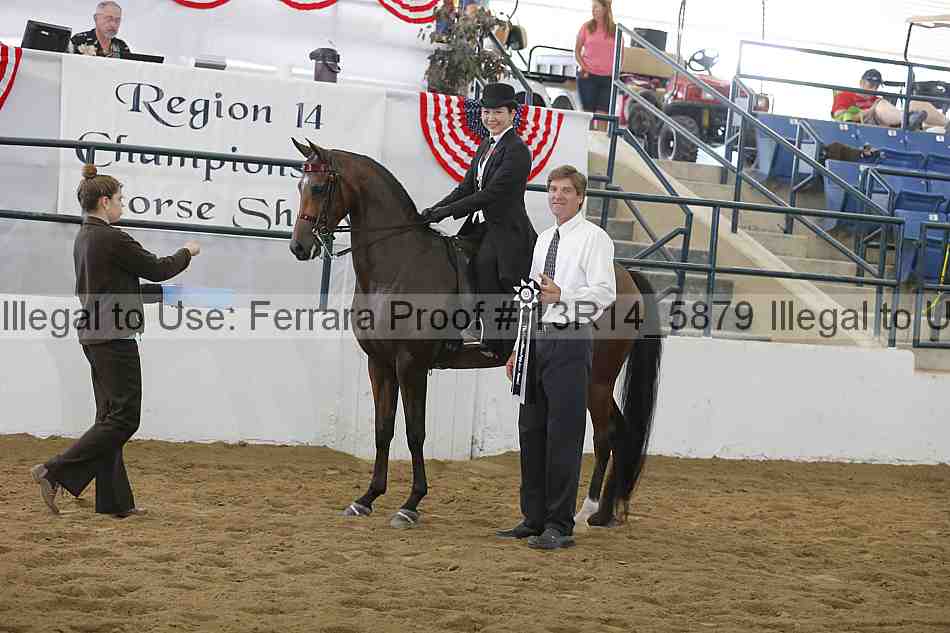 Proof Number 13r14_5879