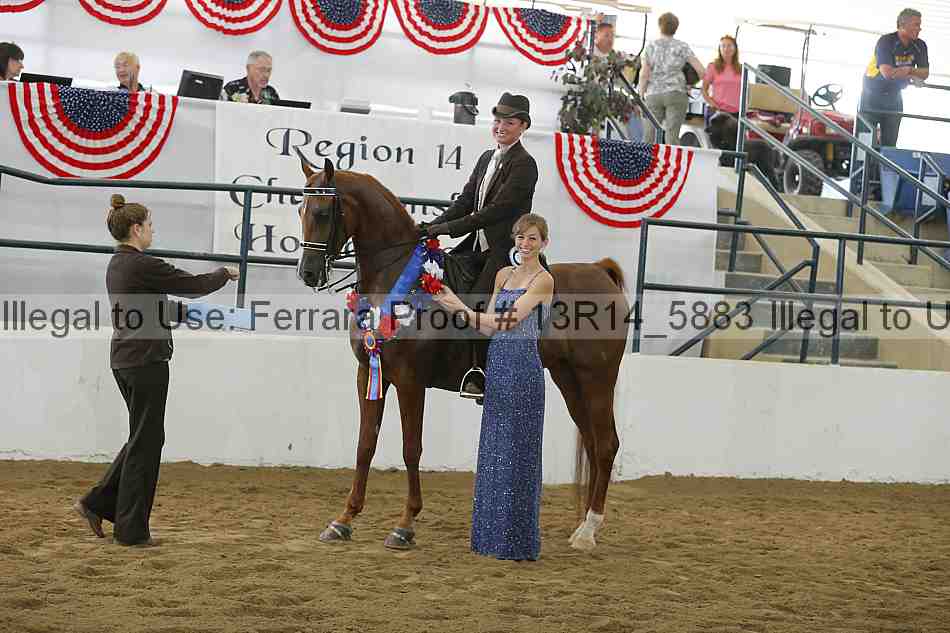 Proof Number 13r14_5883