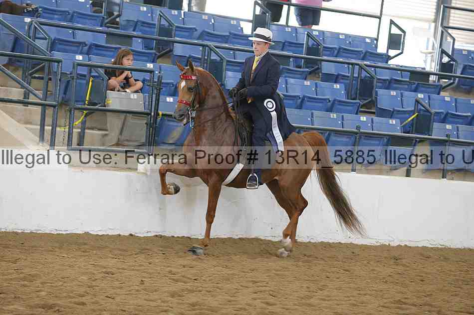 Proof Number 13r14_5885