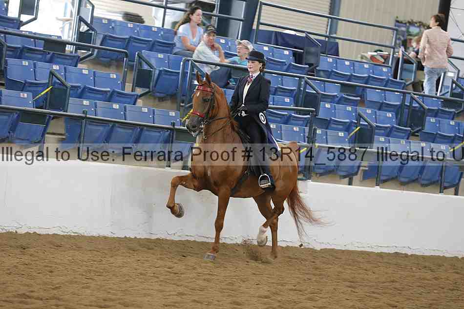 Proof Number 13r14_5887