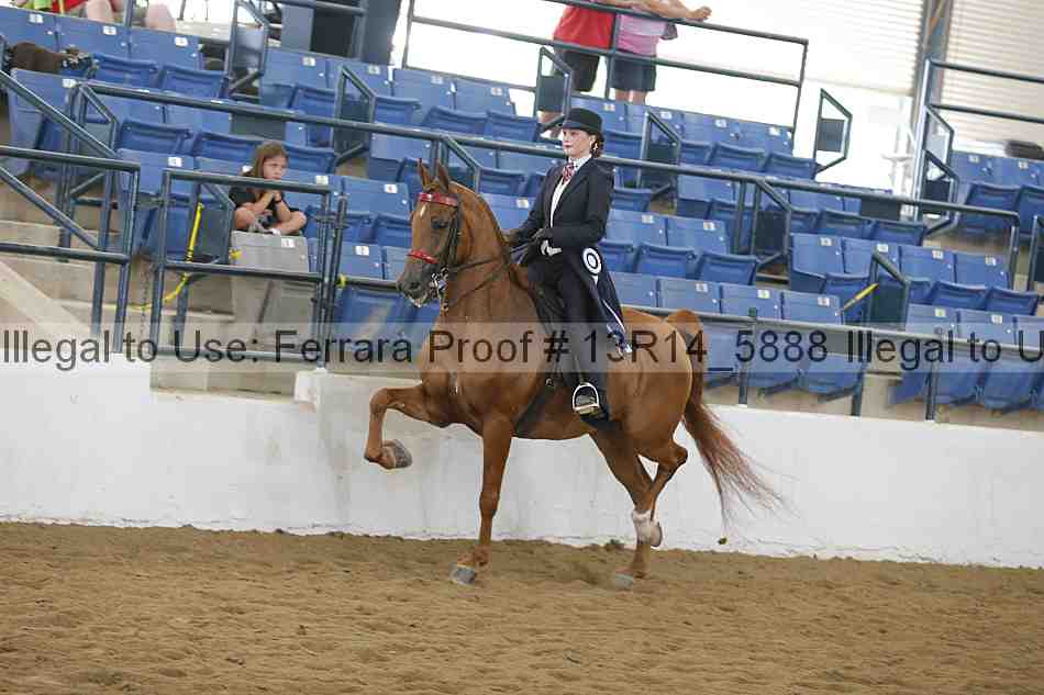 Proof Number 13r14_5888