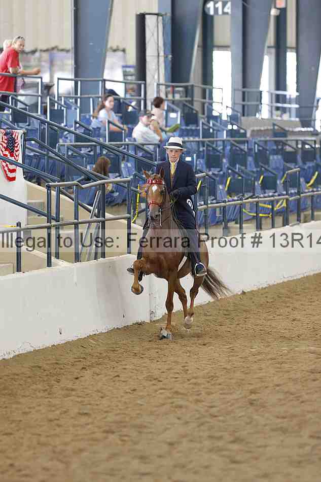Proof Number 13r14_5889
