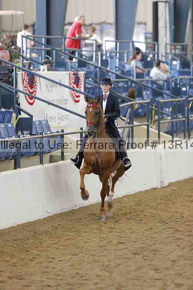 Proof Number 13r14_5890