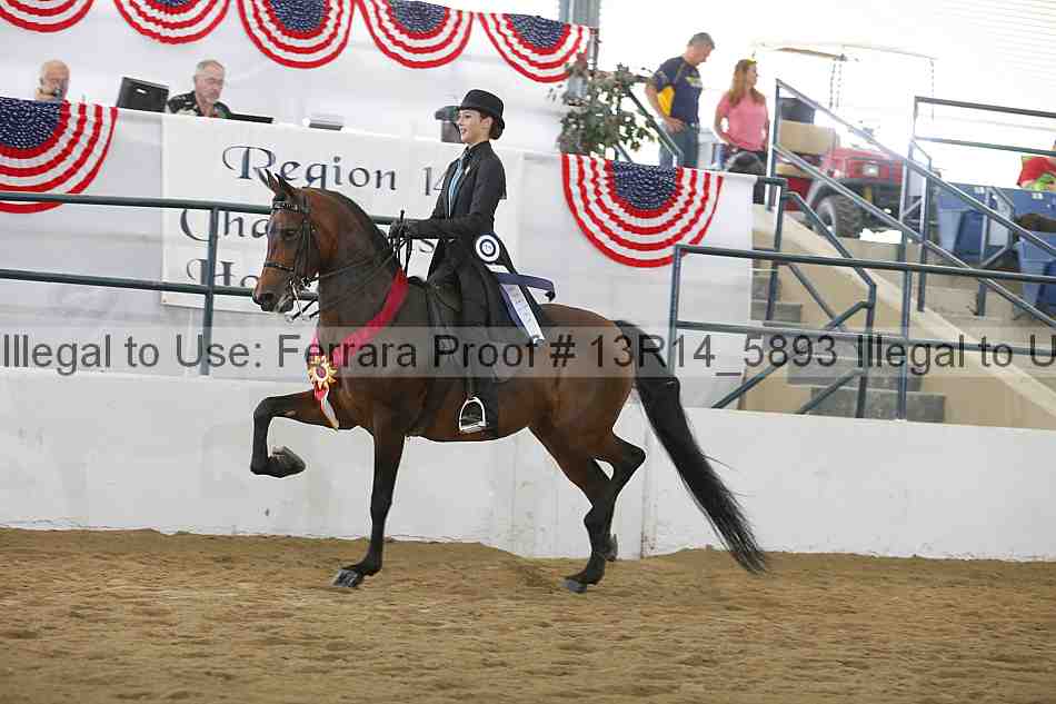 Proof Number 13r14_5893