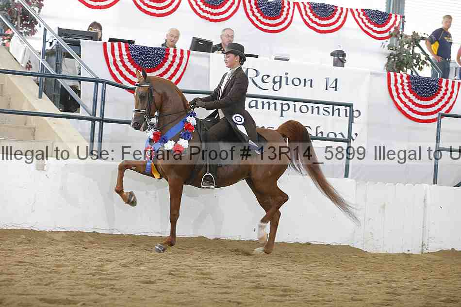 Proof Number 13r14_5899
