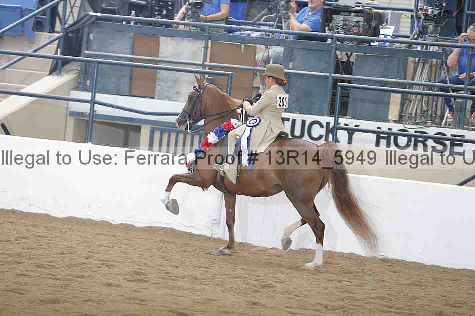 Proof Number 13r14_5949