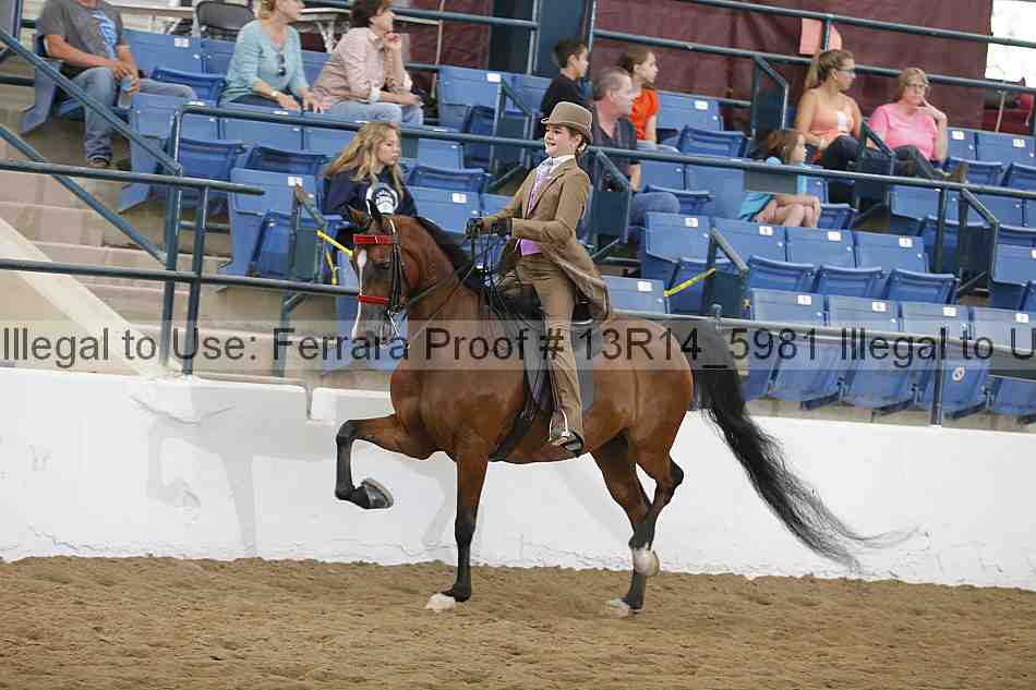 Proof Number 13r14_5981